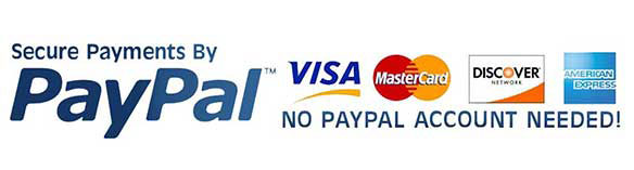 estoresingapore paypal payment mode