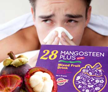 Mangosteen Juice Sinusitis